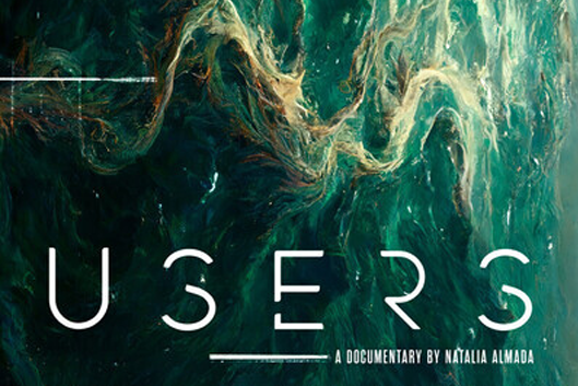 poster for Users film